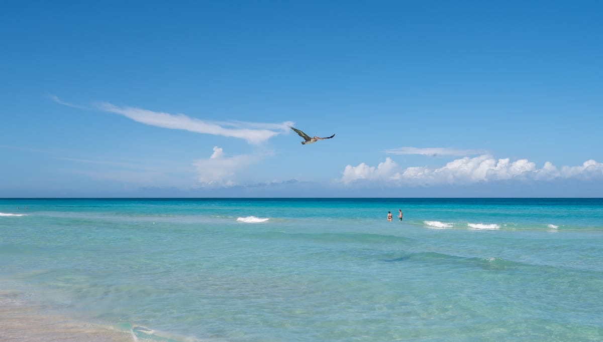 Tropical Morning News. Полёт на Кубу